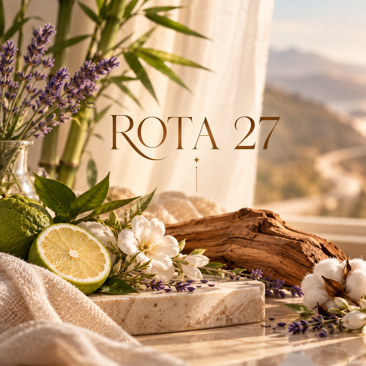 Representação visual da essência Rota 27